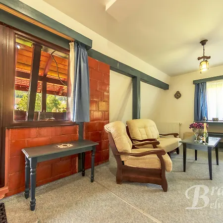 Guest house Bran Belvedere International 4*