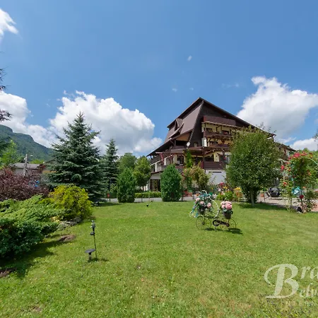 Bran Belvedere International Guest house Bran (Brasov)