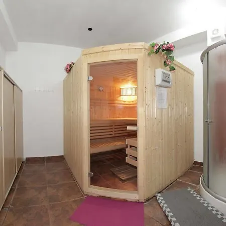 Guest house Bran Belvedere International 4*