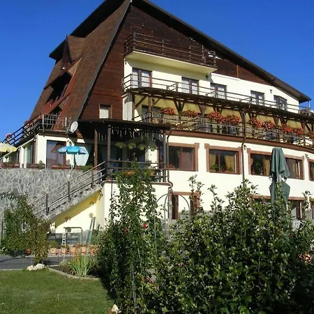 Guest house Bran Belvedere International