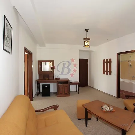 Guest house Bran Belvedere International 4*