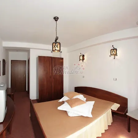 Guest house Bran Belvedere International