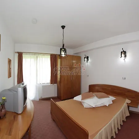 Guest house Bran Belvedere International 4*