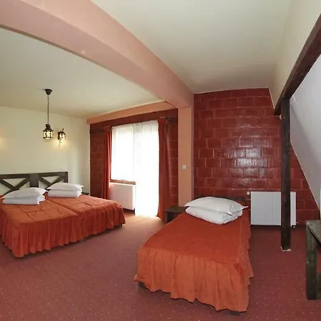 Guest house Bran Belvedere International