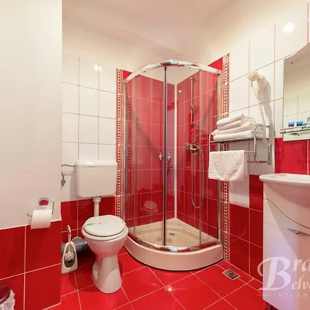 Guest house Bran Belvedere International