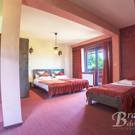 Bran Belvedere International 4* Bran (Brasov)
