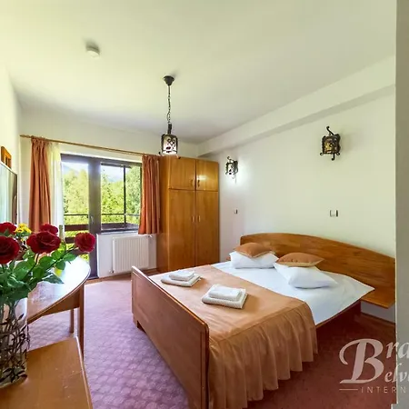 Guest house Bran Belvedere International