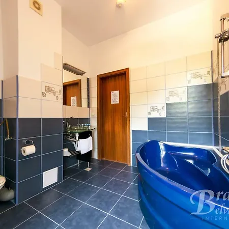 Bran Belvedere International 4* Bran (Brasov)